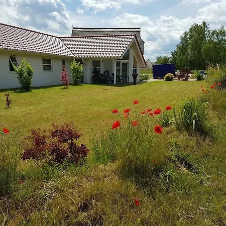 Sun Ruegen * Vaschvitz